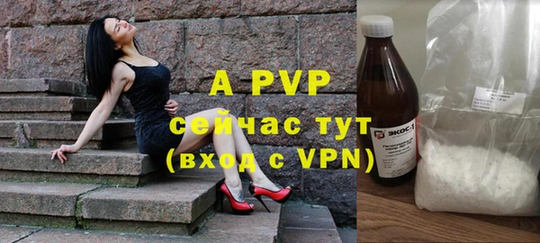 сатива Беломорск
