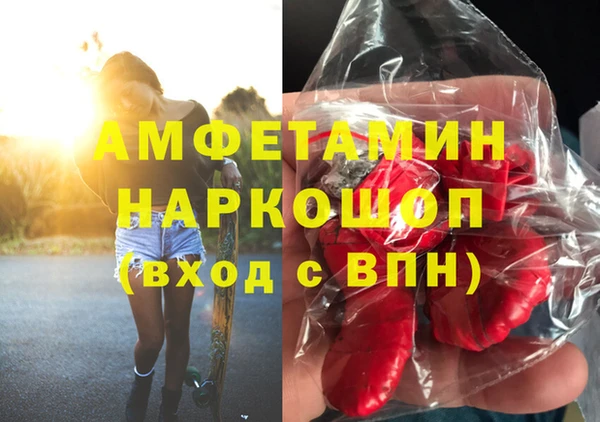 сатива Беломорск