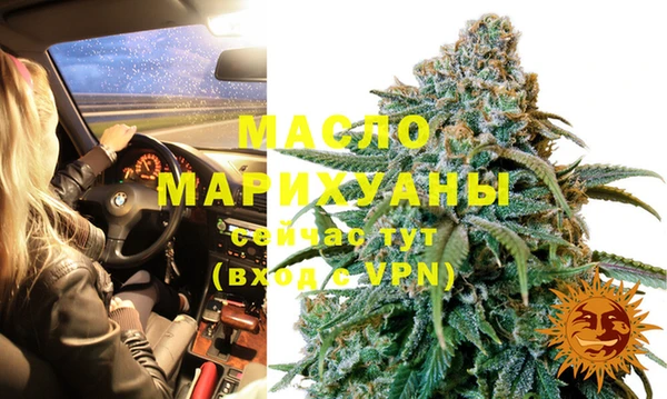 мяу мяу мука Белокуриха