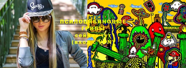 сатива Беломорск