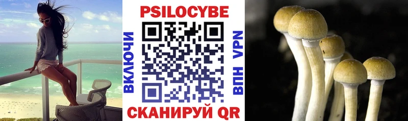 хочу   Сунжа  ссылка на мегу маркетплейс  Псилоцибиновые грибы ЛСД 